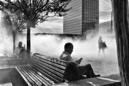 Lecteurs dans la brume