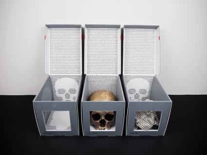 Boxes of skulls